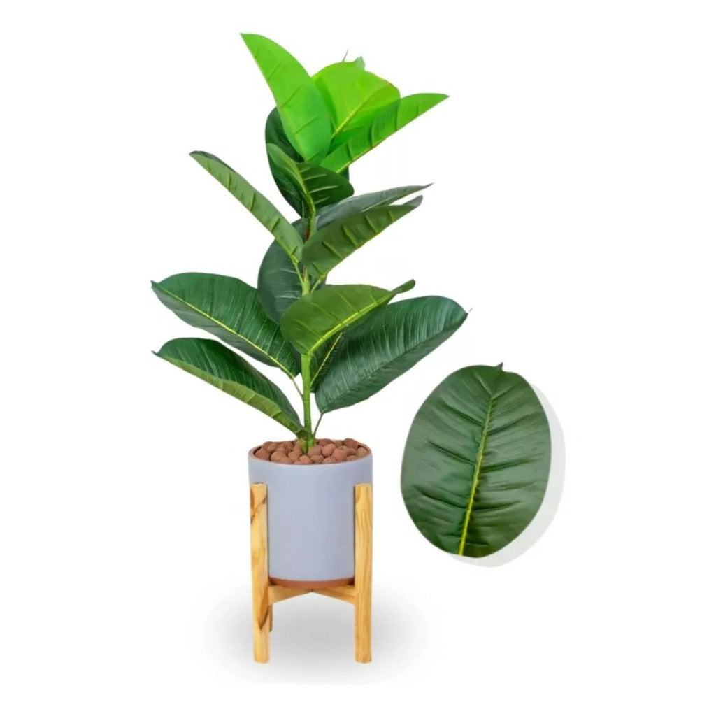 Planta Folha Tropical Com Vaso