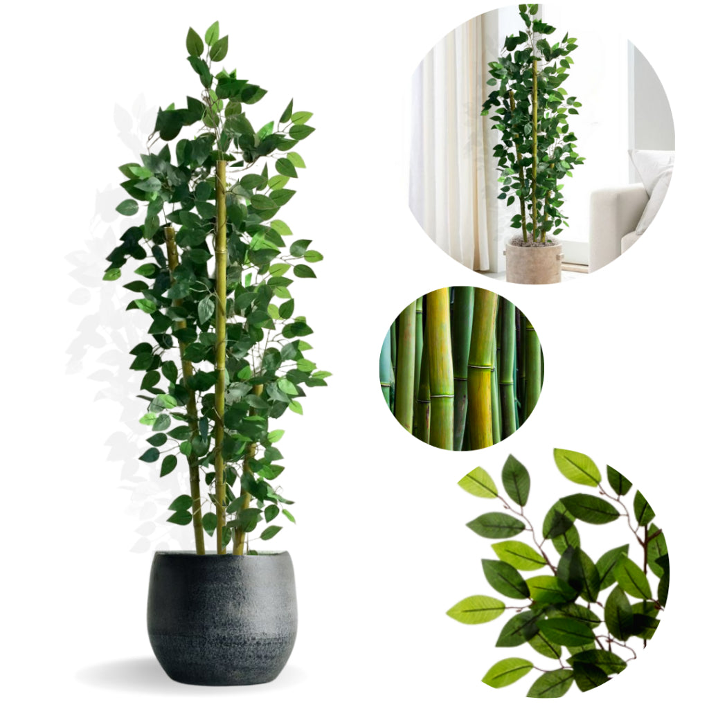 Planta Harmonia de Bambu Com Vaso