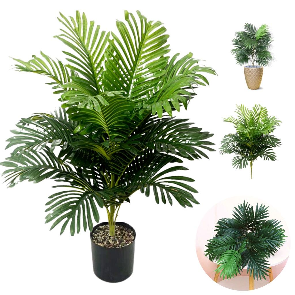 Planta Palmeira Oasis Com Vaso