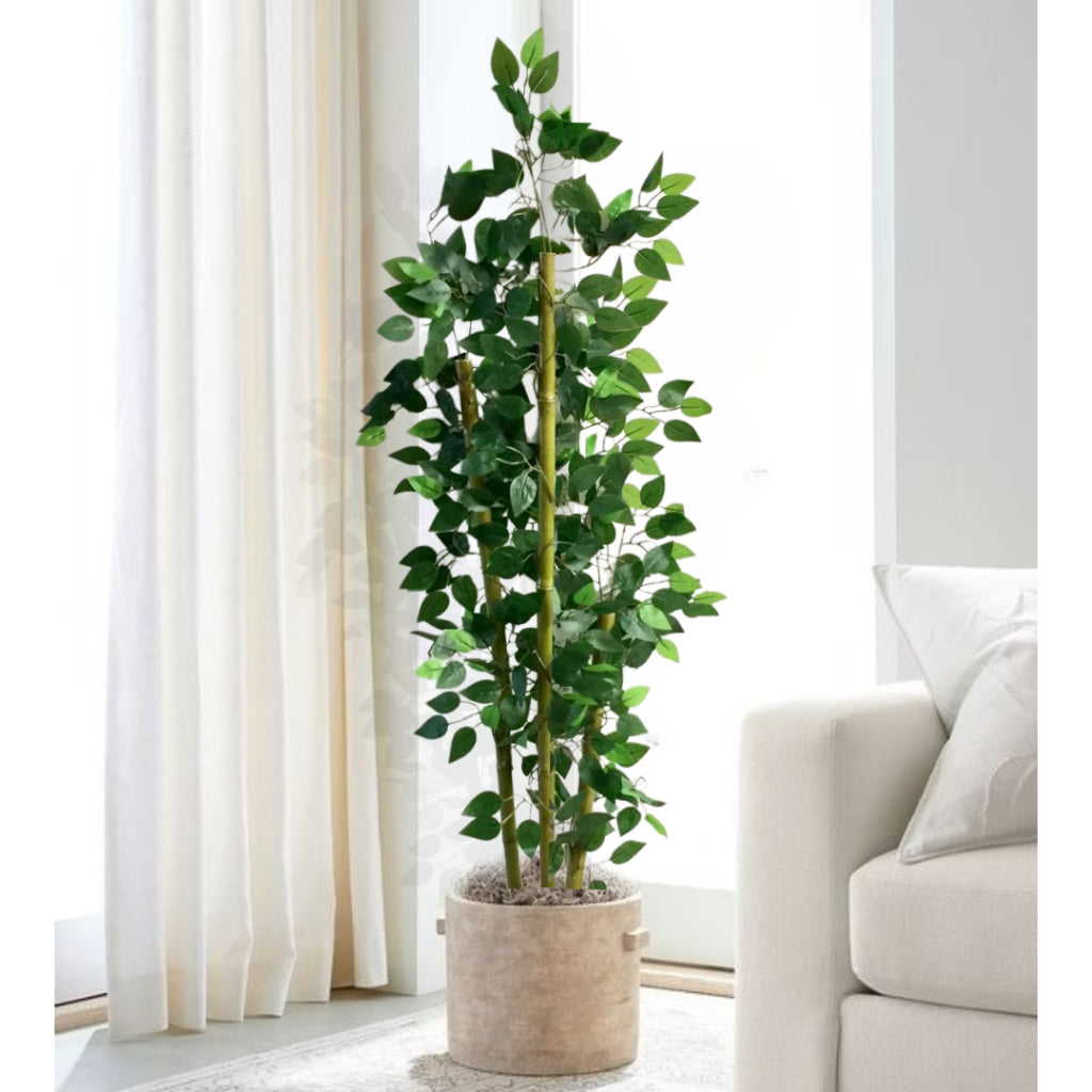 Planta Harmonia de Bambu Com Vaso