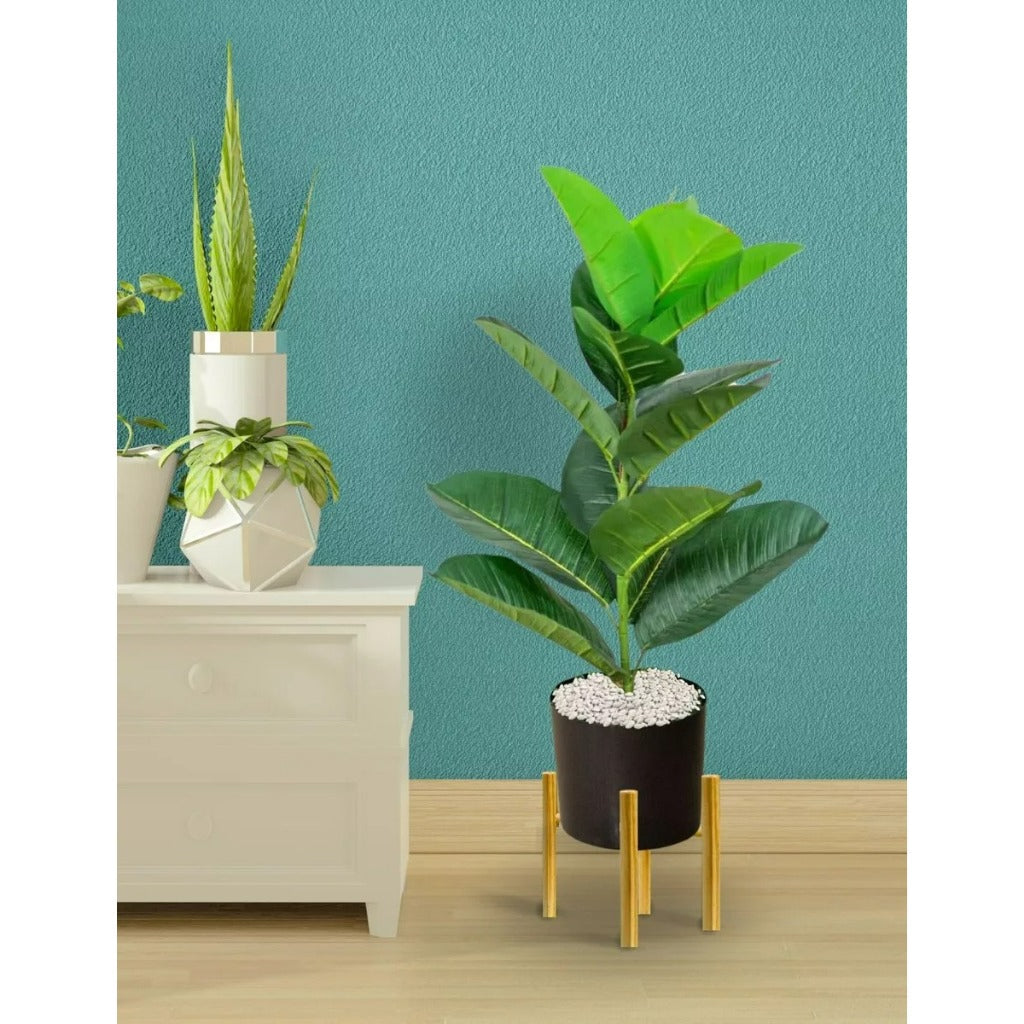 Planta Folha Tropical Com Vaso