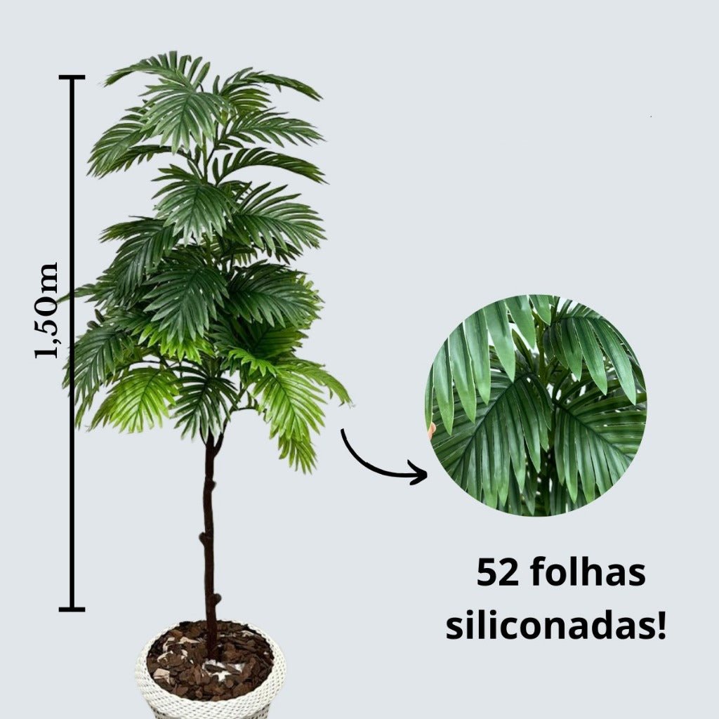 Planta Palmeira Exuberância Com Vaso