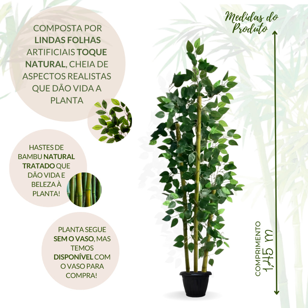 Planta Harmonia de Bambu Com Vaso