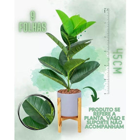 Planta Folha Tropical Com Vaso